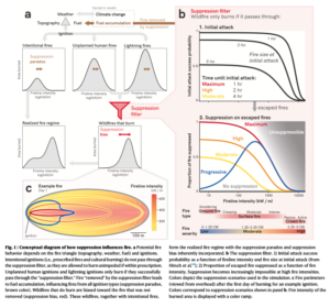 Conceptual diagram of how suppression influences fire. (Graphic via Kreider, M.R., Higuera, P.E., Parks, S.A. et al. Fire suppression makes wildfires more severe and accentuates impacts of climate change and fuel accumulation. Nat Commun 15, 2412 (2024). https://doi.org/10.1038/s41467-024-46702-0)