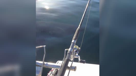 Another gentleman photographer this four-metre great white off North Haven. Photo: Facebook/Shark Alerts South Australia