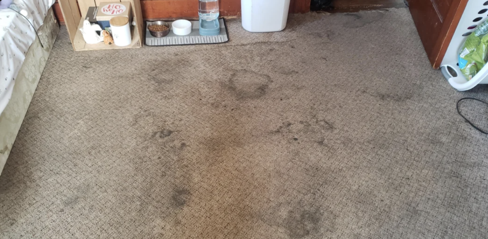 A worn carpet with spills and stains