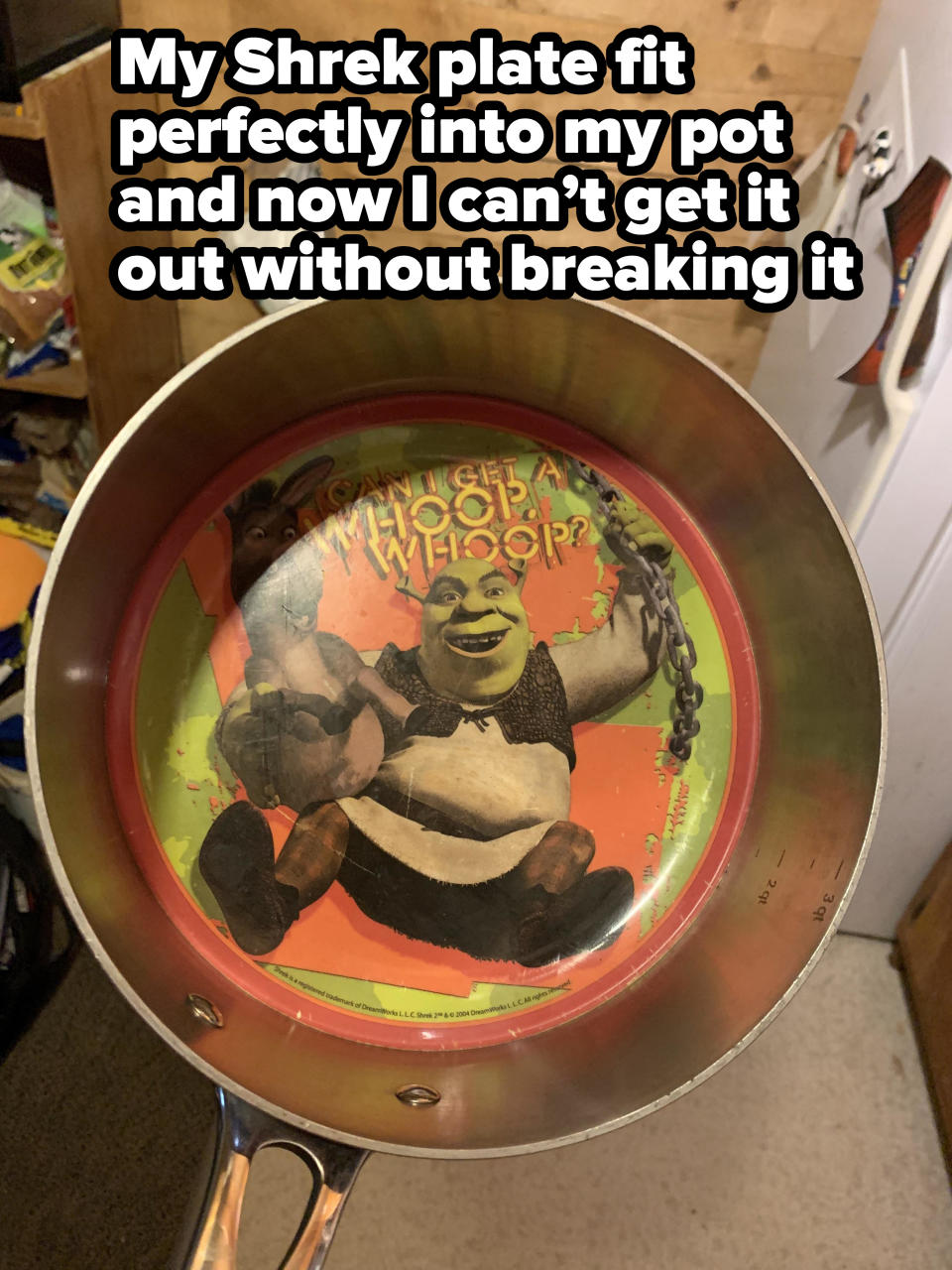 A Shrek plate, perfectly affixed into the bottom of a pan, that can't be removed without breaking it