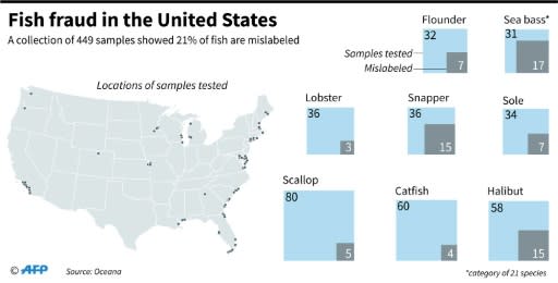 Highlights of a study on alleged fraud in labeling of fish sold in the United States