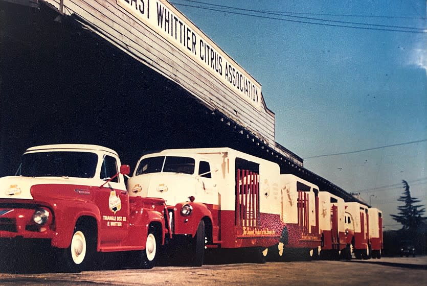 One of the first Is one of Triangle's very first trucks at a temporary warehouse in an old Citrus shed in Whittier.