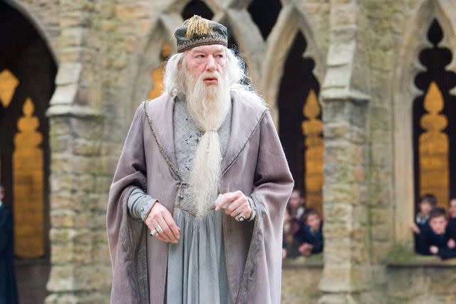 Warner Bros. Michael Gambon as Albus Dumbledore in the <em>Harry Potter</em> series