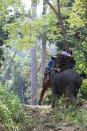 Thailand has more elephants in captivity than living in the wild