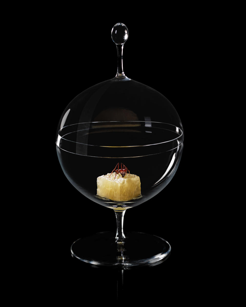 This 2012 photo released by Lotus PR shows a dish made of and ant and pineapple in Brazil. Enter "D.O.M.: Rediscovering Brazilian Ingredients," a new cookbook that chef Alex Atala hopes will propel Brazilian food onto the world's culinary stage. The "Langoustine with mini rice and ant powder," for example, involves preparing a pickled white radish, a broth made from lobster heads, the actual crustaceans themselves as well as an ant powder made from dried and ground “sauva ants,” typically used by the indigenous peoples of northern Brazil as a spice _ which book says has notes of lemongrass and ginger. (AP Photo/Sergio Coimbra, Lotus PR)