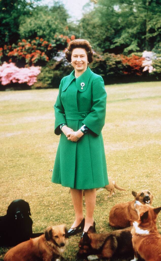Queen Elizabeth, Dogs