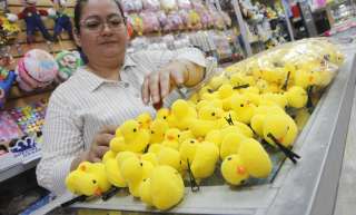 Dans un magasin de Guayaquil, en Équateur. Les canards “kawaii” sont ensuite vendus 1 dollar par des vendeurs ambulants.. Photo Christian Vinueza 