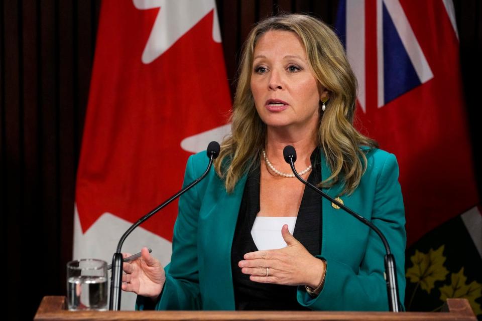 'It's time they got the message and stopped wasting millions of dollars' says Ontario NDP Leader Marit Stiles