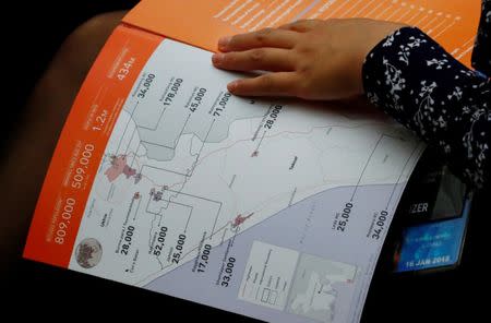 A delegate reads a document during the Pledging Conference for Rohingya Refugee Crisis in Bangladesh at the United Nations in Geneva, Switzerland October 23, 2017. REUTERS/Denis Balibouse