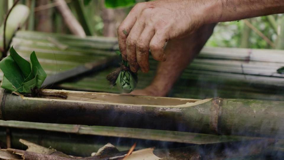 神仙谷禁止狩獵，艾德史塔福用葉子包昆蟲，放在剖開竹子裡煮熟，成了「蟲蟲餃子」。（Discovery頻道提供）