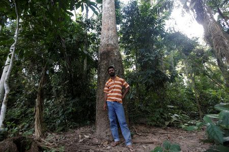 Joao Batista, 43, who has worked as a rubber extractor since his childhood, poses for a photograph in front of a Seringueira rubber tree in Chico Mendes Extraction Reserve, in Xapuri, Acre state, Brazil, June 24, 2016. REUTERS/Ricardo Moraes