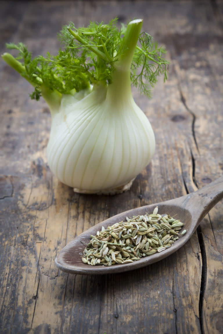 Fennel