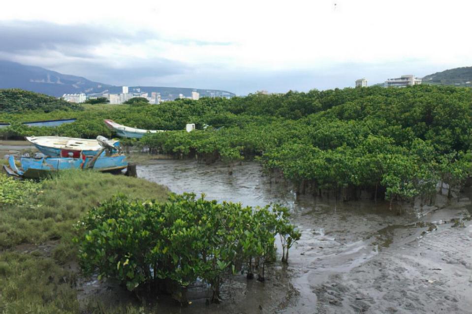 新北市八里左岸沿途遊程中挖子尾自然生態保護區。（ 新北市觀光旅遊網）