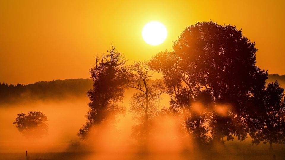 Bodennebel im Licht der aufgehenden Sonne in einem Naturschutzgebiet in Baden-Württemberg.