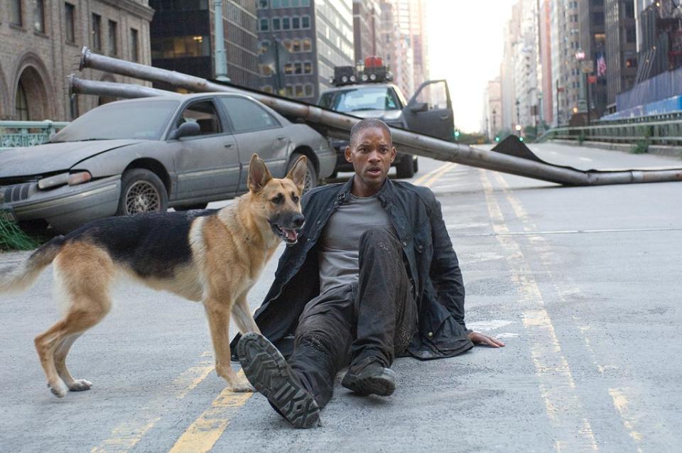 User Rated Sci Fi Films Gallery 2008 I Am Legend