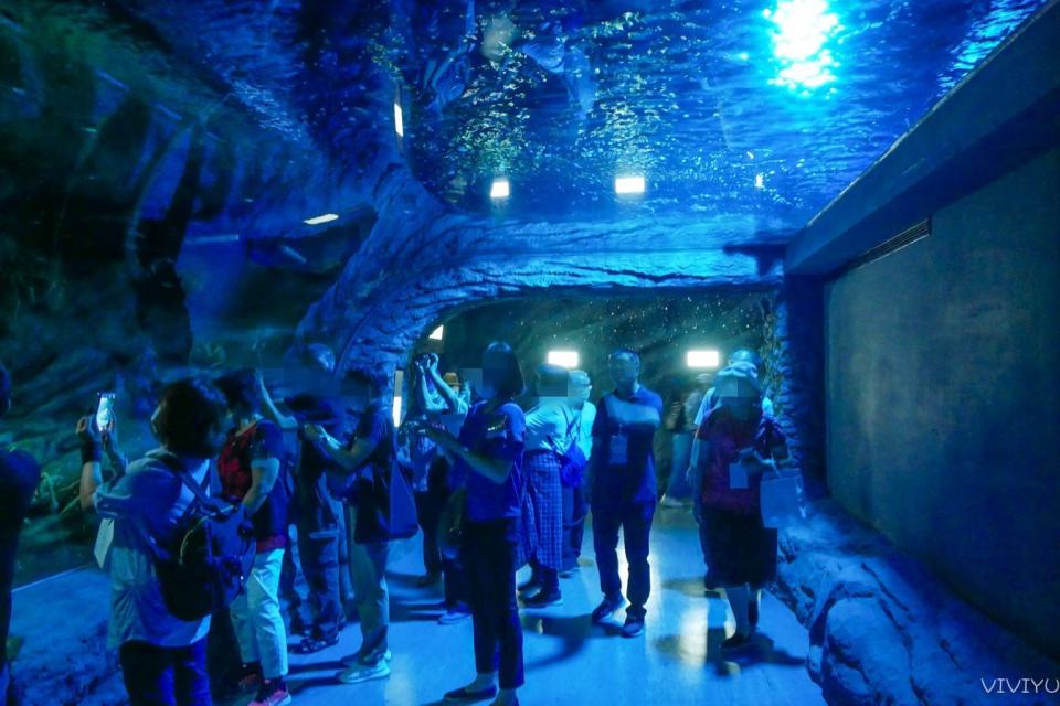 桃園水族館「Xpark」