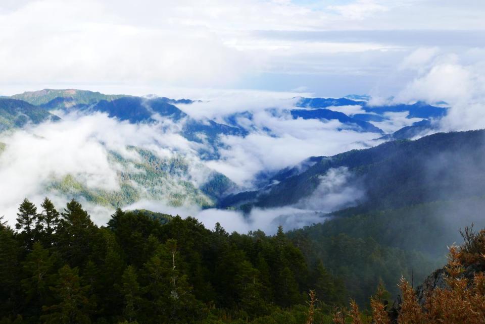 雨後的山頂，淡薄卻清澈的雲層，與雲海的感受又不盡相同。