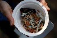 The Wider Image: The man who saves forgotten cats in Fukushima's nuclear zone