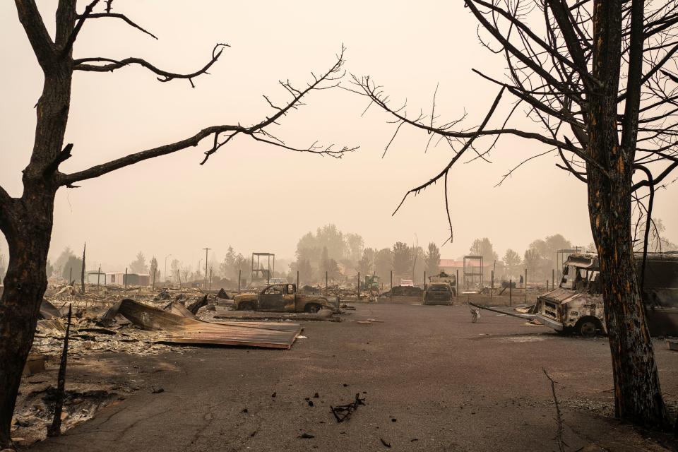 A neighborhood destroyed by wildfire is seen on September 13, 2020 in Talent, Oregon. Hundreds of homes in Talent and nearby towns have been lost.