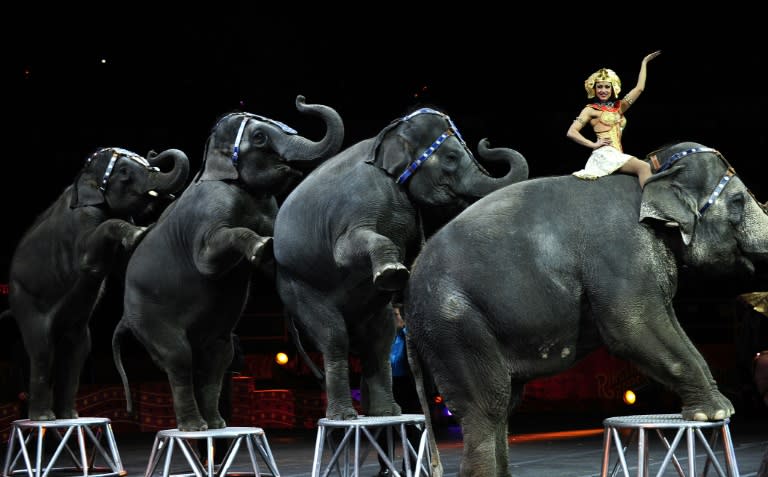In May 2015 Ringling Bros. and Barnum & Bailey Circus retired its performing elephants after major criticism from animal rights groups