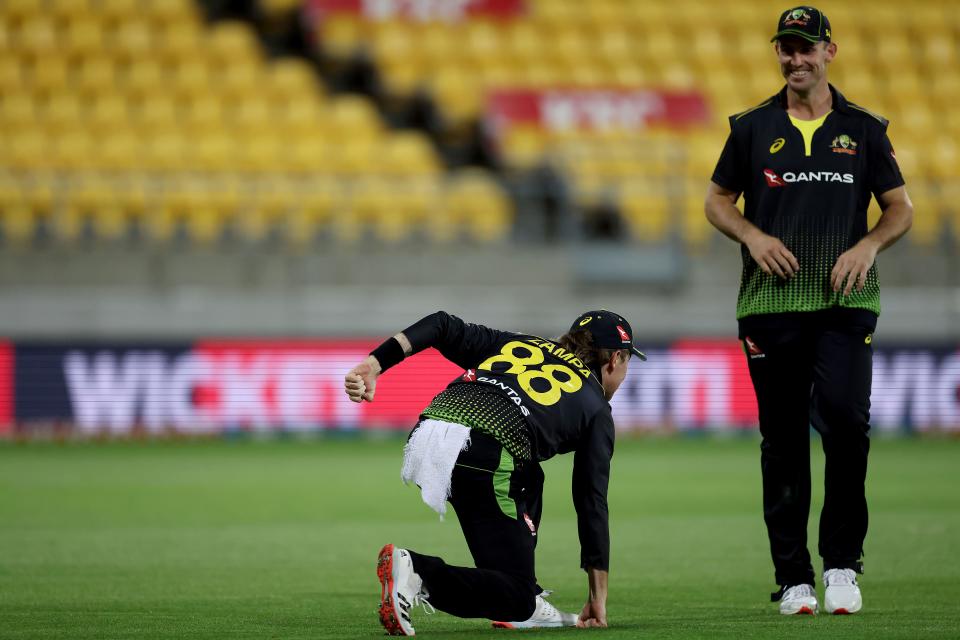 Australia's Adam Zampa (L) celebrates catching New Zealands Mark Chapman with teammate Mitch Marsh during the third Twenty20 cricket match between New Zealand and Australia in Wellington on March 3, 2021. (Photo by Marty MELVILLE / AFP) (Photo by MARTY MELVILLE/AFP via Getty Images)