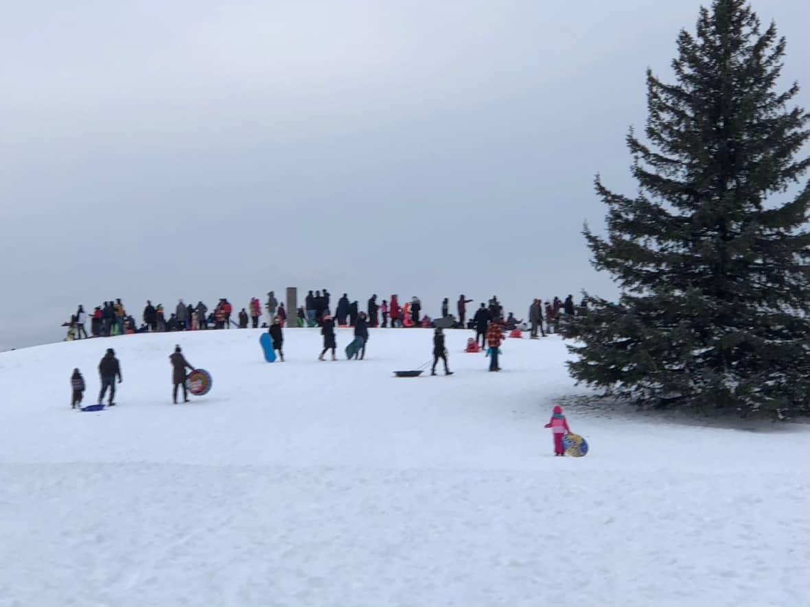 A large crowd tobogganing at Mooney's Bay.  (Ashley Burke/CBC - image credit)