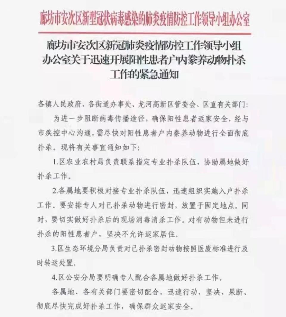 中國河北廊坊市安次區27日下令確診者撲殺寵物才能返家，引起民怨後30日收回命令。（翻攝自微博）