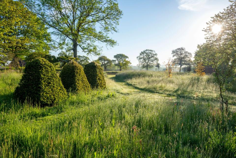 dorset england home obelisks of yew signal the transition to a more pastoral landscape