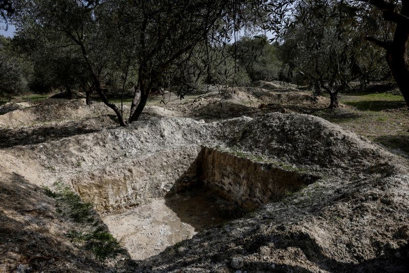 The Wider Image: Turkish olive farmer battles to save her land from coal mine