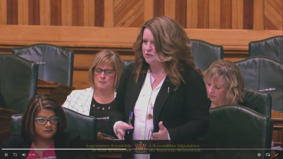 Tourism Minister Tammy Scott-Wallace speaking in the legislature for a second day about expenses claimed by her deputy minister, Yenna Hurley. Hurley is sitting front left in this photo.