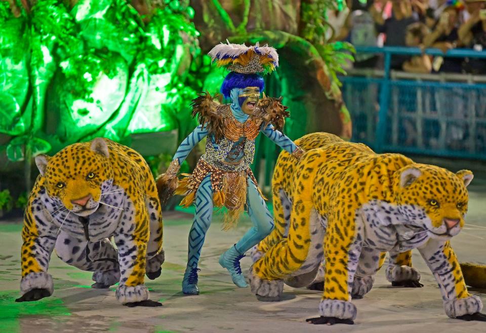 Carnival tigers