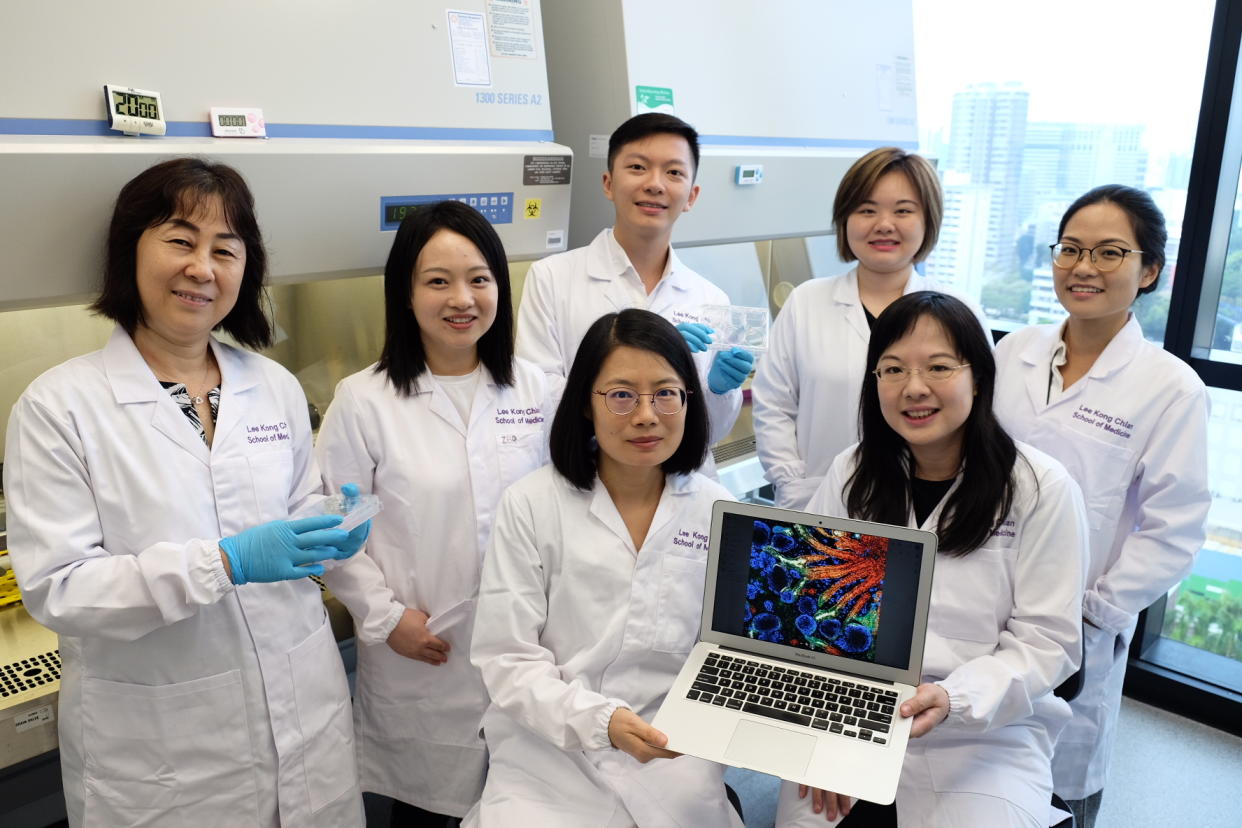 The research team led by NTU Singapore which has grown ‘mini kidneys’ in the laboratory which could be used to better understand how kidney diseases develop in individual patients. (PHOTO: Nanyang Technological University Singapore)