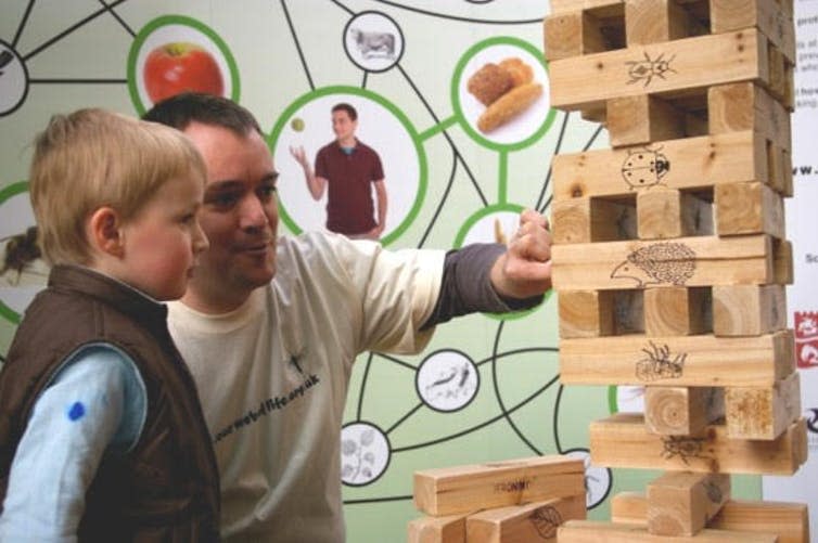 <span class="caption">Playing biodiversity Jenga.</span> <span class="attribution"><span class="source">© Dane Comerford)</span>, <span class="license">Author provided</span></span>