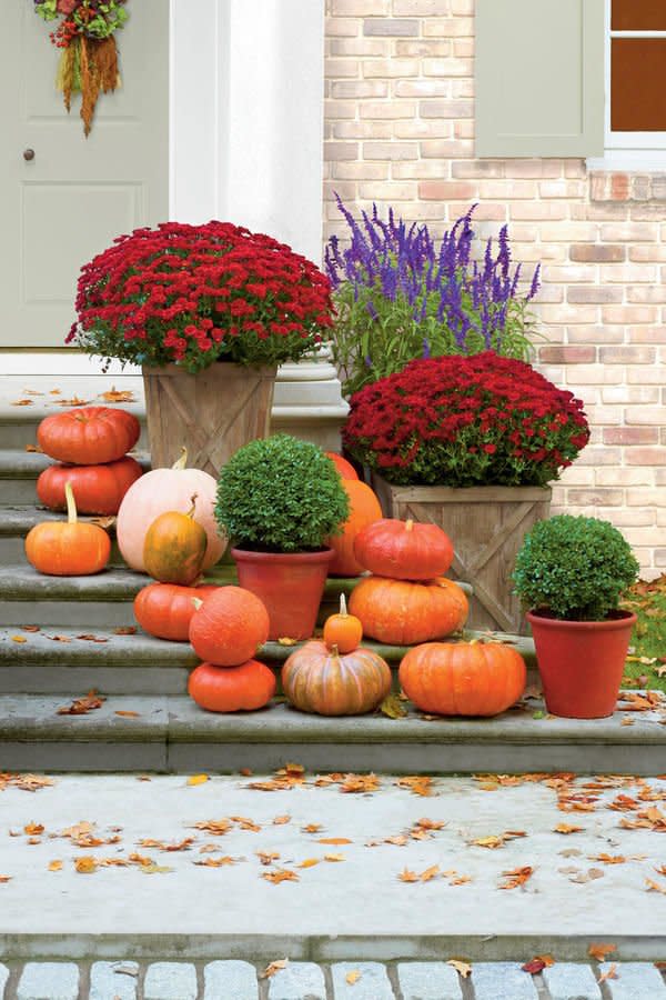 Line Your Porch with Mums