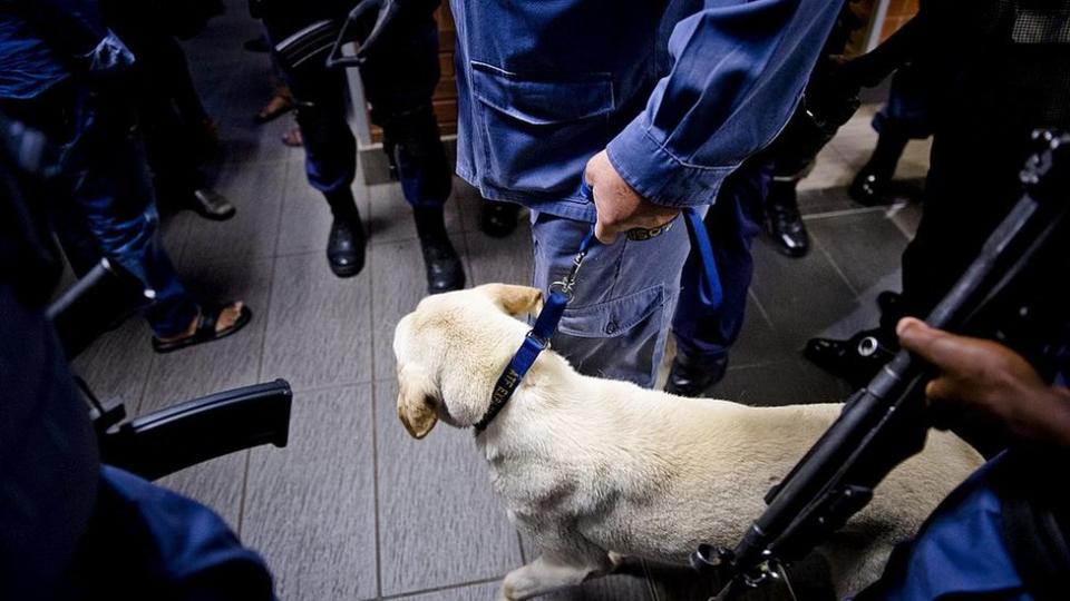 Agentes armados y con un perro