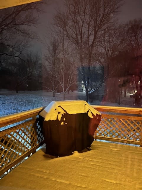 Snowfall in Hendersonville (Courtesy: Sherri Perkins)