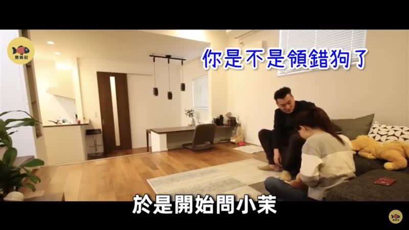 老高在家中逗力氣卻覺得不對勁，問小茉「妳是不是領錯狗了？」讓她當場笑翻。（圖／翻攝自YouTube）