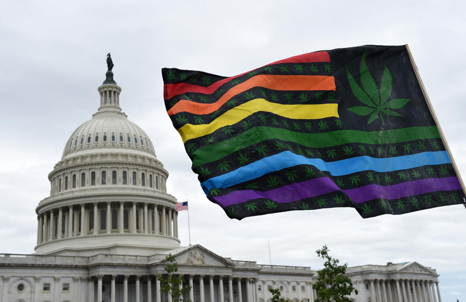 Activists from the DC Marijuana Justice (DCJM) wave flags during a Rally to Demand Congress to pass cannabis reform legislation on the East Lawn of the U.S. Capitol in Washington, DC on October 8, 2019 (Photo by Olivier Douliery / AFP) OLIVIER DOULIERY / AFP via Getty Images)