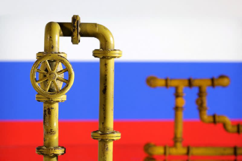 FILE PHOTO: Illustration shows natural gas pipeline and Russian flag