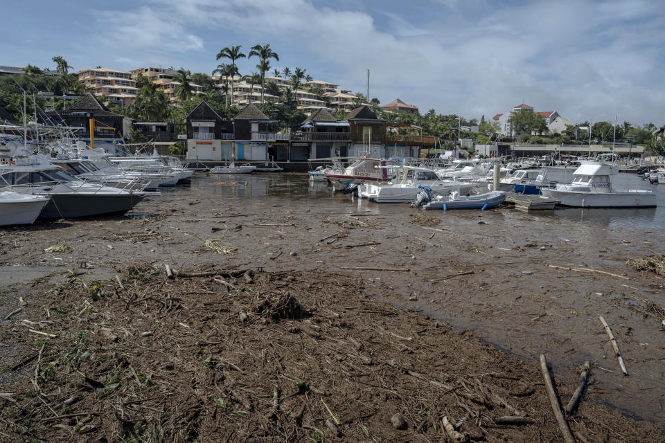 Fallen trees float in the marina of Saint-Gilles les Bains on the French Indian Ocean island of Reunion, Tuesday, Jan. 16, 2024. Tropical cyclone Belal had battered the French island of Reunion, where the intense rains and powerful winds left about a quarter of households without electricity after hitting Monday morning, according to the prefecture of Reunion. (AP Photo/Lewis Joly)