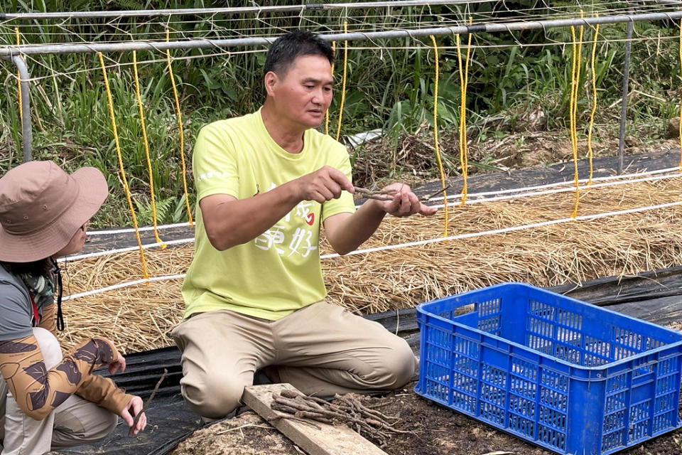 來來農場主人呂瑞弘介紹有機原生種山藥的種植方式。攝影：林郁宸