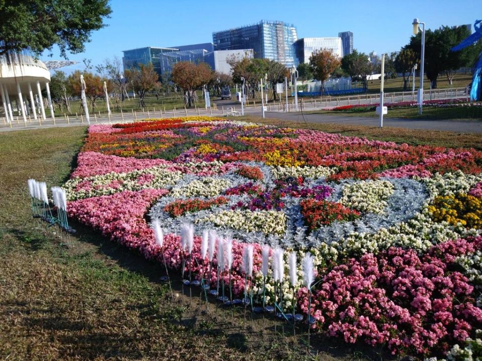 《圖說》中央公園種植鮮豔的蒔花，歡迎各位市民朋友來中央公園走春。