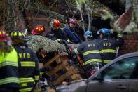 <p>Trabajadores de los equipos de rescate retiran un árbol que ha caído en una vivienda. EFE </p>