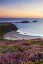 <p>The UK has some gorgeous beaches—even if the weather isn't ideal for sunbathing. Rhossili Bay on the tip of Gower Peninsula in Swansea is particularly pretty–just look at those blooms.</p>