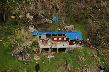 An aerial view shows trees and buildings damaged by Hurricane Maria in Puerto Rico, October 5, 2017. Picture taken October 5, 2017. REUTERS/Lucas Jackson