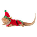 <p>It's always good to have an elf on hand when trying to figure out Christmas gifts. </p> <p><strong>Buy it!</strong> Elf Reptile Costume, $4.99; <a href="https://petsmart.haujjd.net/c/249354/764629/11083?subId1=PEO15HolidayOutfitsforSmallPetsthatLetReptilesandGuineaPigsJointheFestiveFunkbender1271PetGal13032410202112I&u=https%3A%2F%2Fwww.petsmart.com%2Ffeatured-shops%2Fthe-gift-shop%2Fgifts-for-every-pet%2Freptile%2Fmerry-and-brightandtrade-elf-reptile-costume-65964.html" rel="sponsored noopener" target="_blank" data-ylk="slk:PetSmart.com;elm:context_link;itc:0;sec:content-canvas" class="link ">PetSmart.com</a></p>