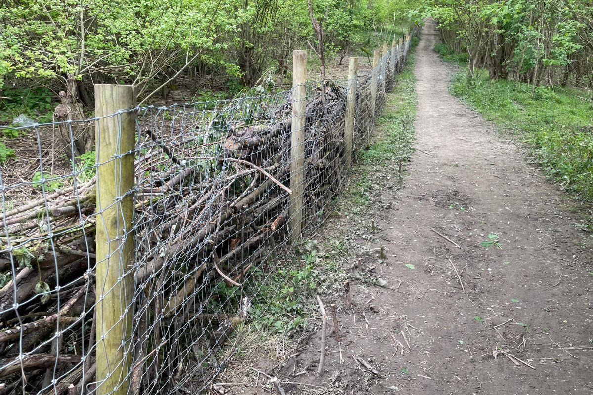 Council have ordered fence to be removed <i>(Image: Bucks Free Press)</i>