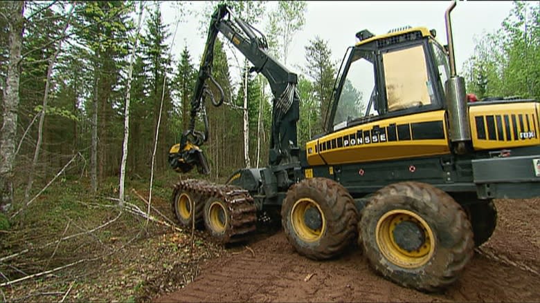 Of forests and floods: Devastatingly high water raises clear-cut questions