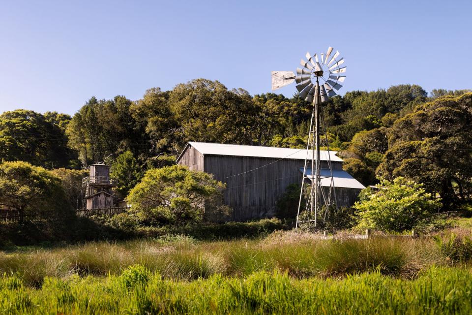 A barn on Annie Leibovitz's California estate