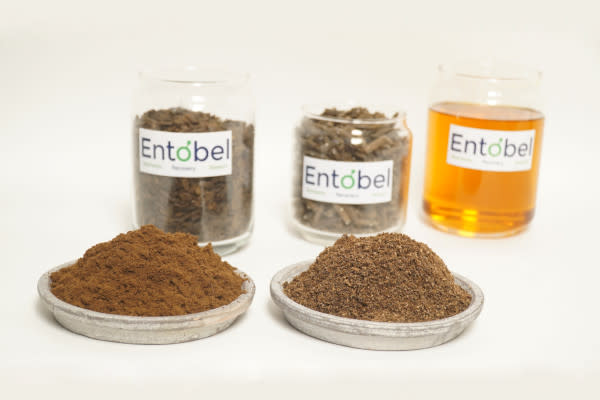 Products of Entobel, a black soldier fly farm company based in Singapore and operating in Vietnam. Products include insect protein, insect oil and fertiliser. (Photo: Entobel)